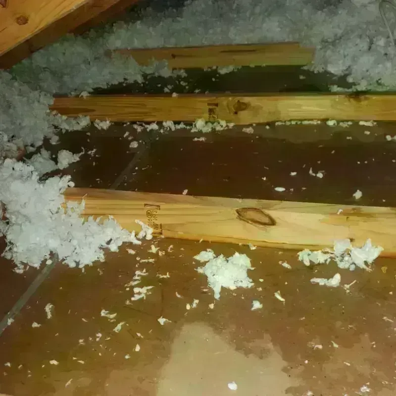 Attic Water Damage in Dayton, TN