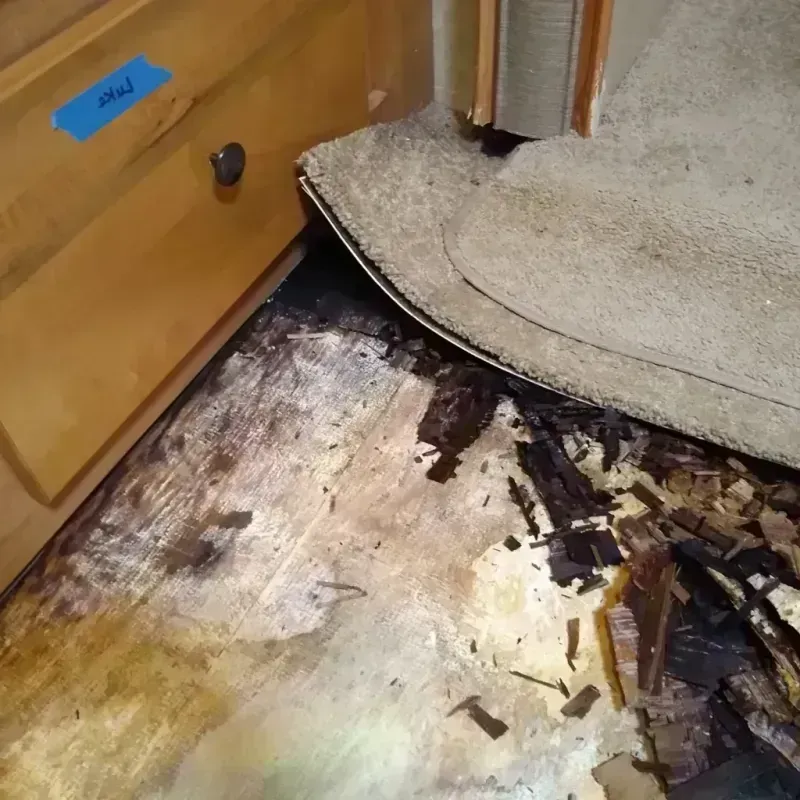 Wood Floor Water Damage in Dayton, TN